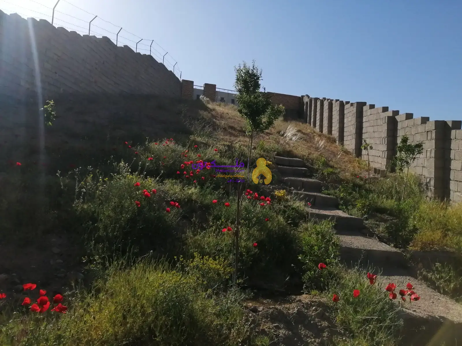 باغ و زمین به متراژ ۱۳۰۰